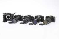 A large quantity of composition baby dolls,